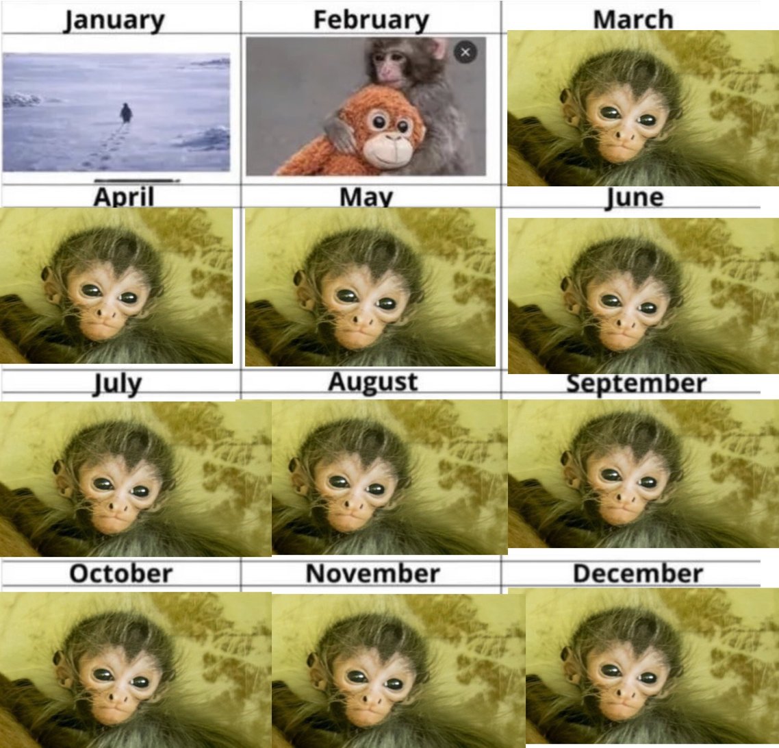 Alawy White tweet media