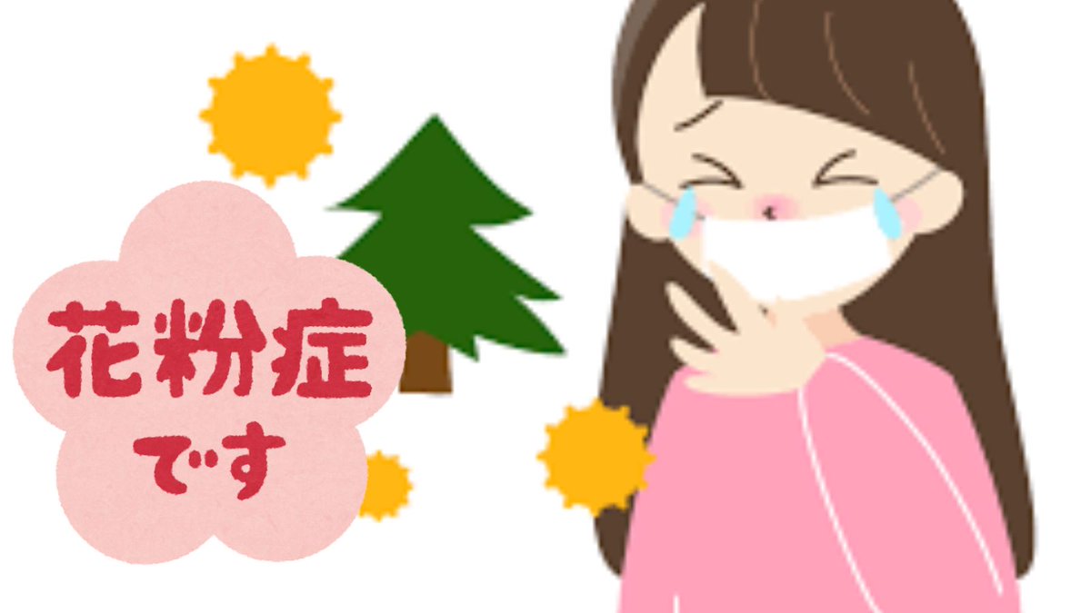Gzebra5's tweet photo. Spring arrives with hay fever. I can’t stop sneezing, my nose runs constantly, and the most troublesome symptom is the itchiness on the roof of my mouth. Once it starts, I become irritable and can’t concentrate on anything. https://t.co/HVdo92mpak