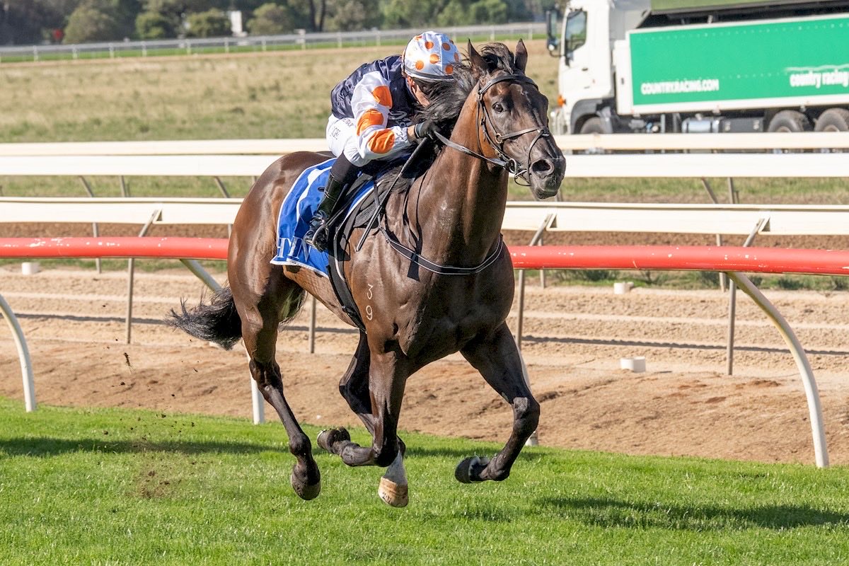 Mailbag Bloodstock tweet media