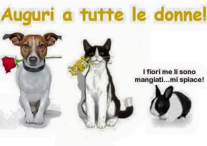 Manuel623228's tweet photo. @giusypitta79 Buon giorno e buona festa delle donne anche a te cara ❤️. https://t.co/dnSZ8x0xPh