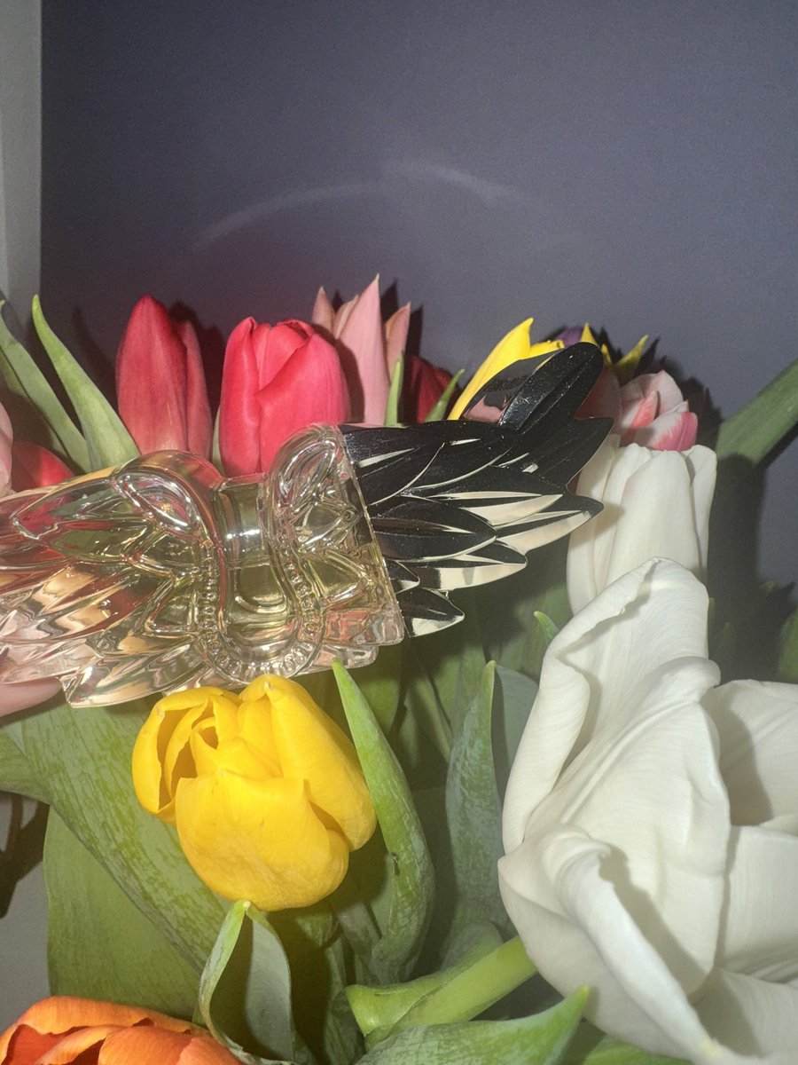 Всех дам, с праздником 🌸💐