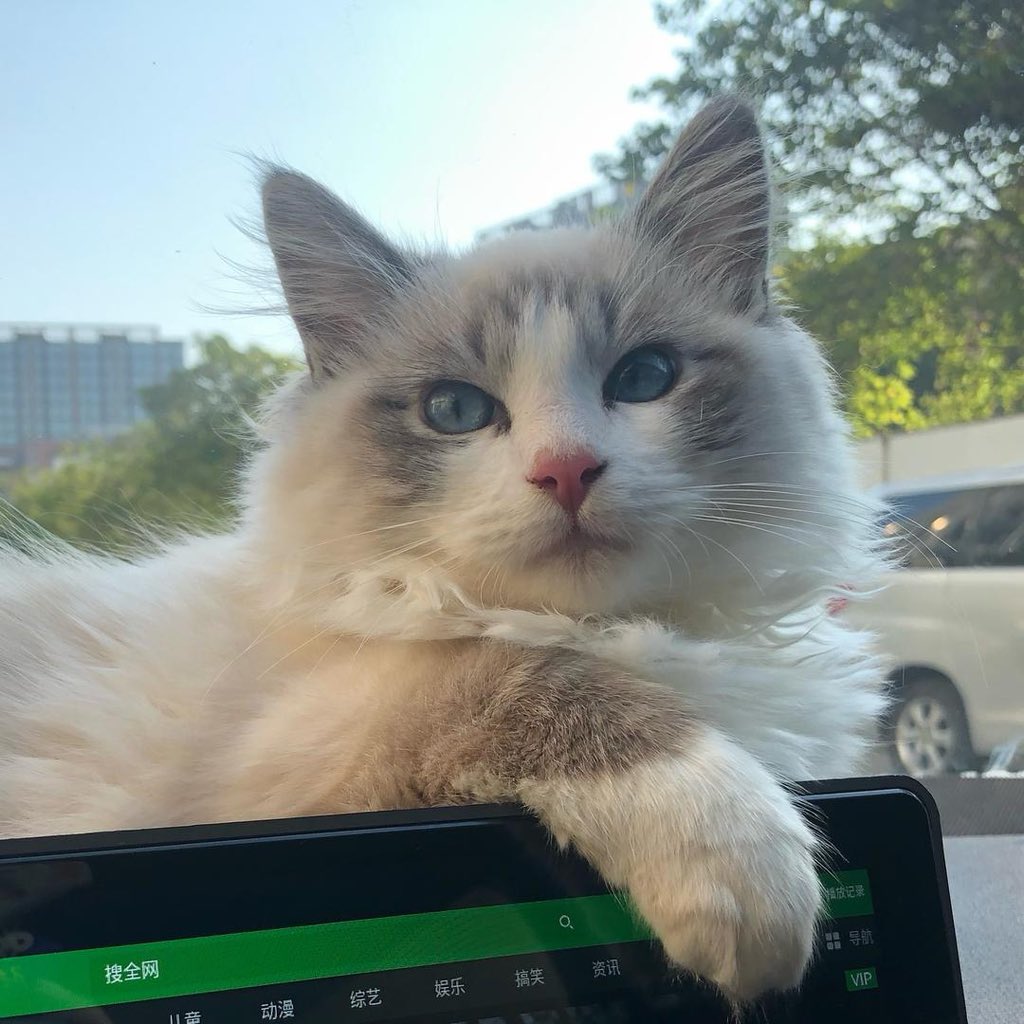 魚大力 | Crypto+AI Plus tweet media