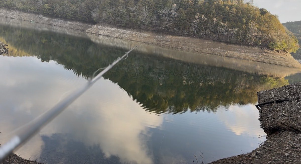 あーちゃん tweet media