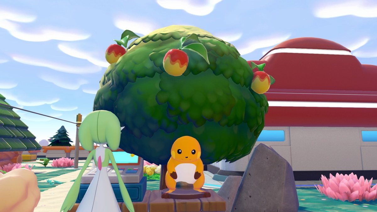 ぽぽみん tweet media