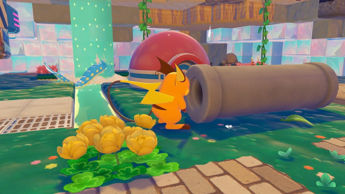 ぽぽみん tweet media