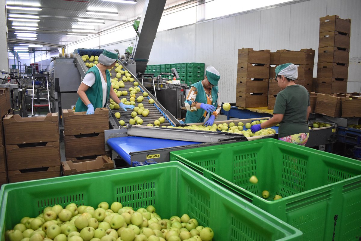 Giropoma Costa Brava tweet media