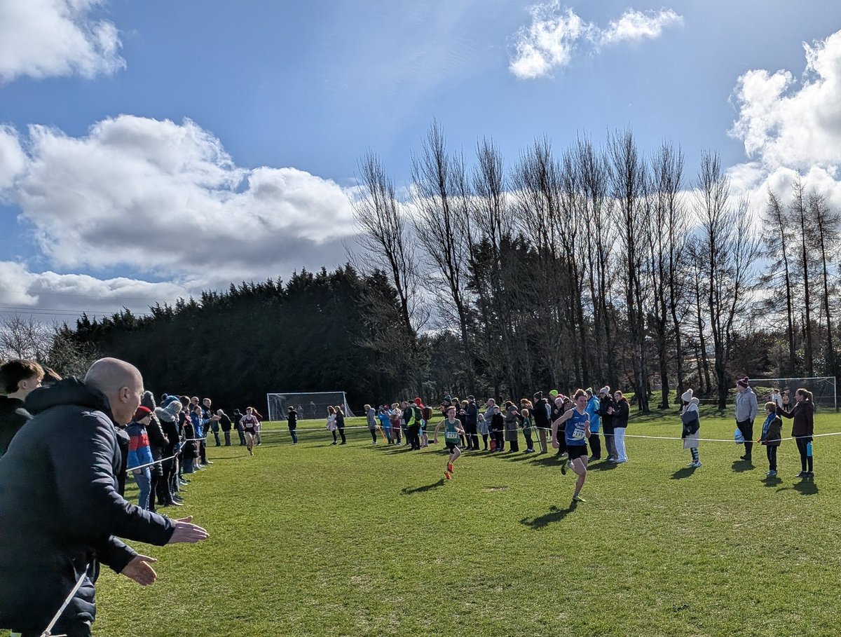 North Belfast Harriers AC tweet media