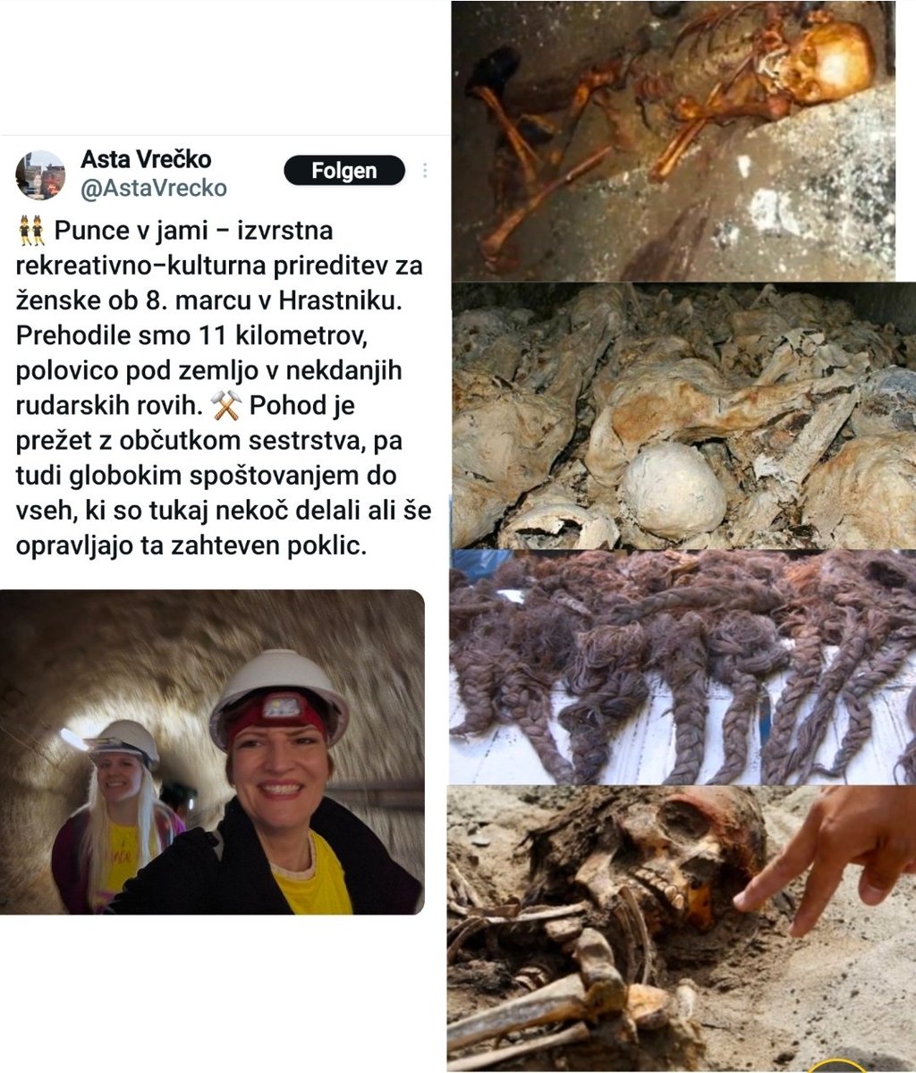 brutusReloaded tweet media