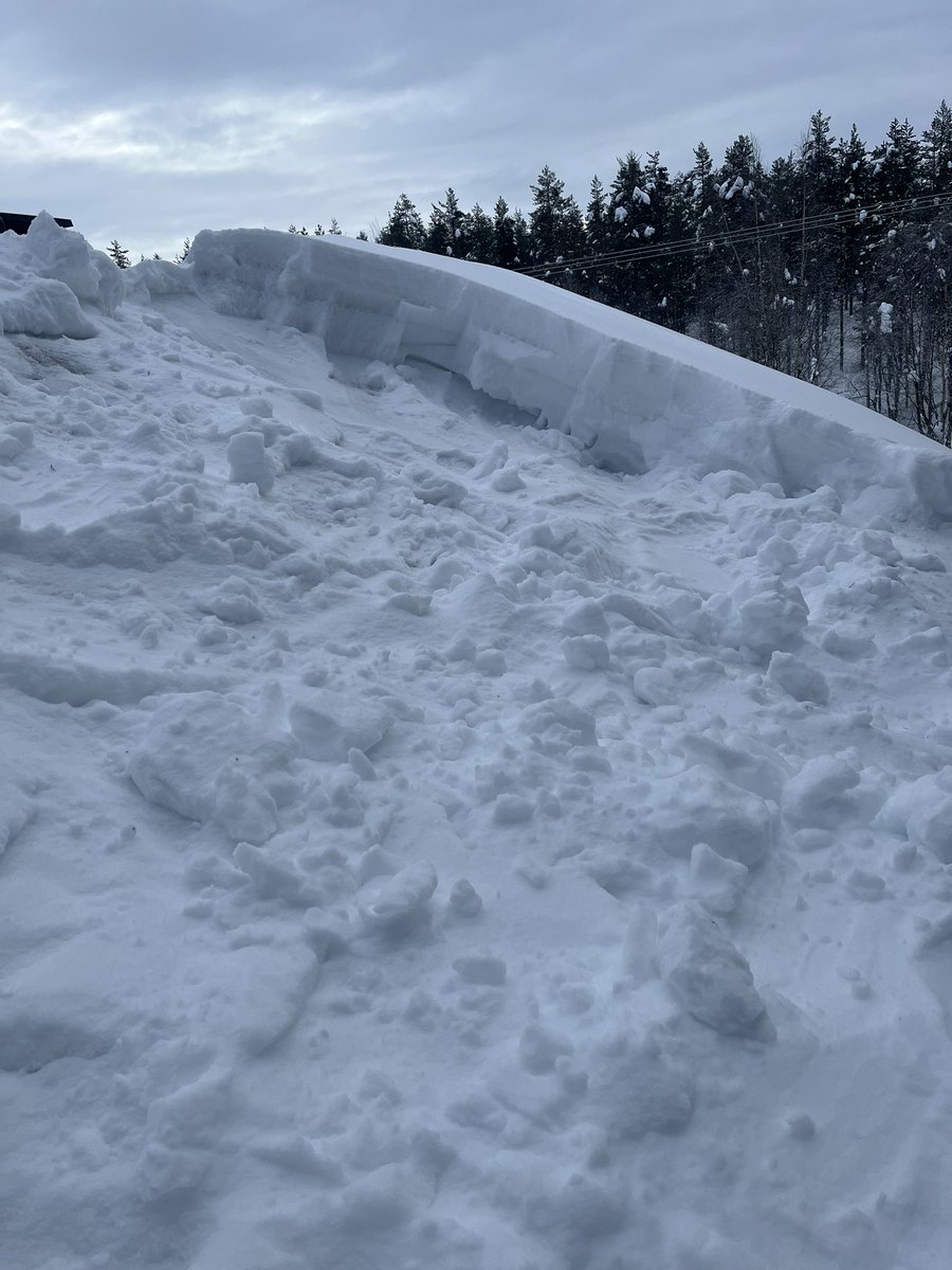 Hindrik Vriesinga🚜🐄🐷🐥 tweet media