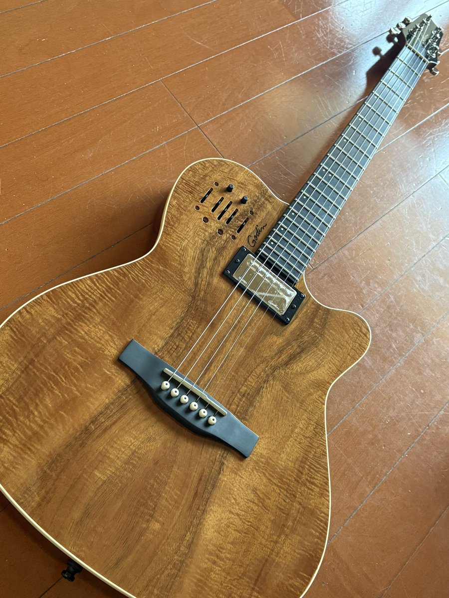 wandering tweet media