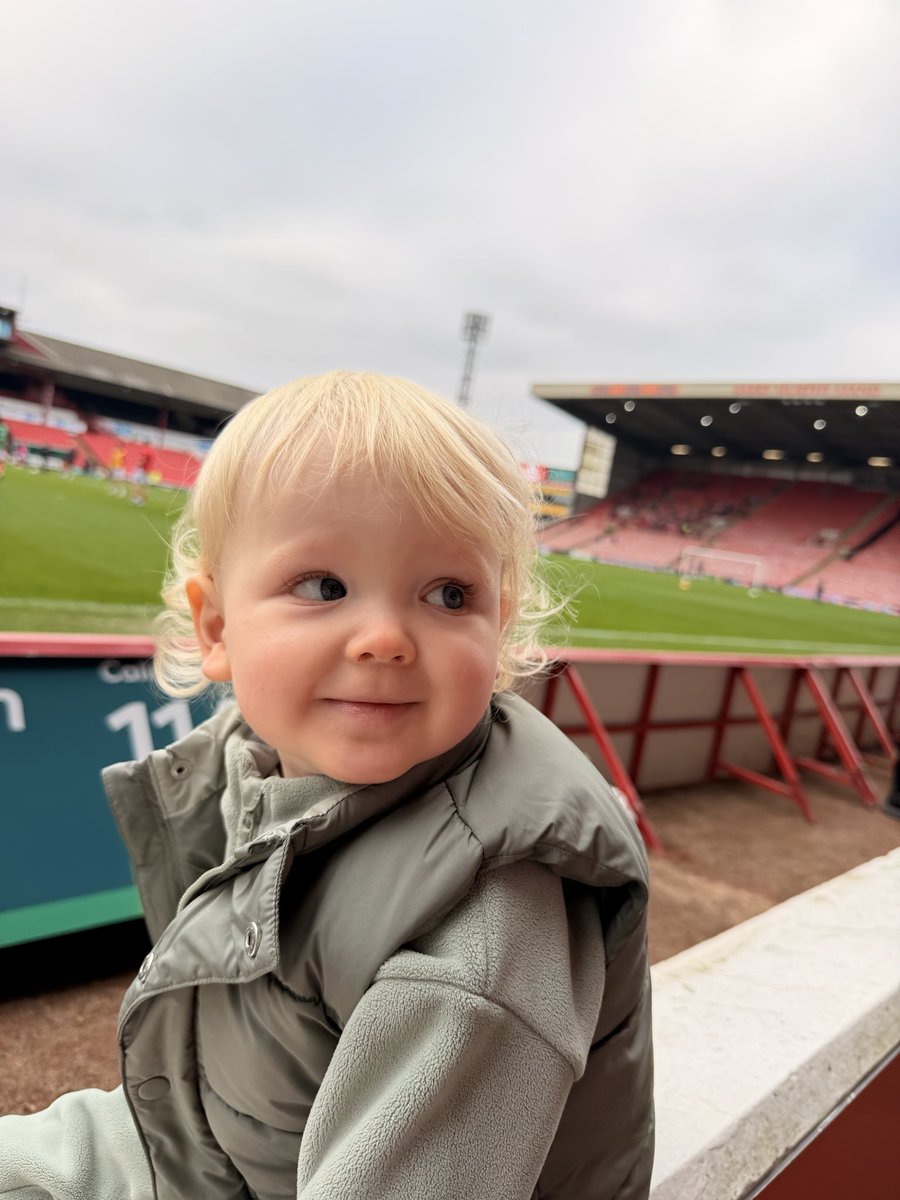 Ross Flavell tweet media