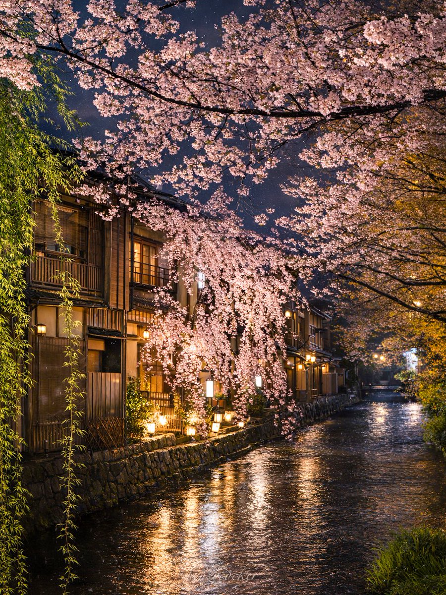 ベンジー tweet media