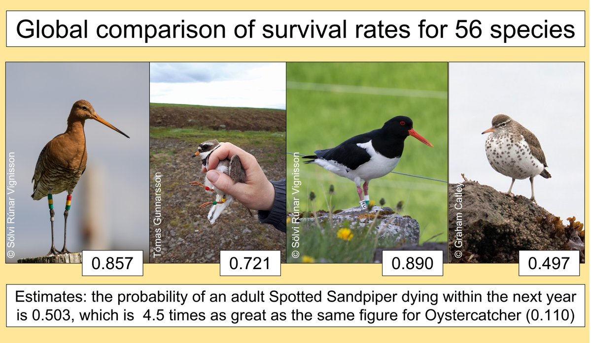 Graham Appleton tweet media