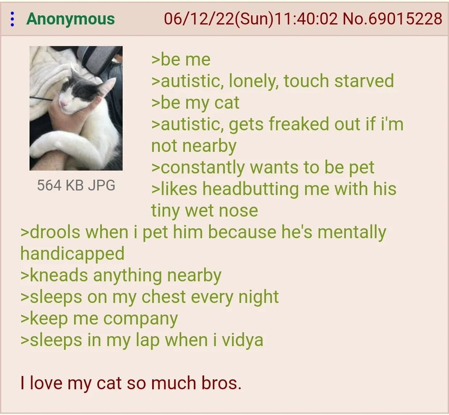 The 4Chan Archives tweet media