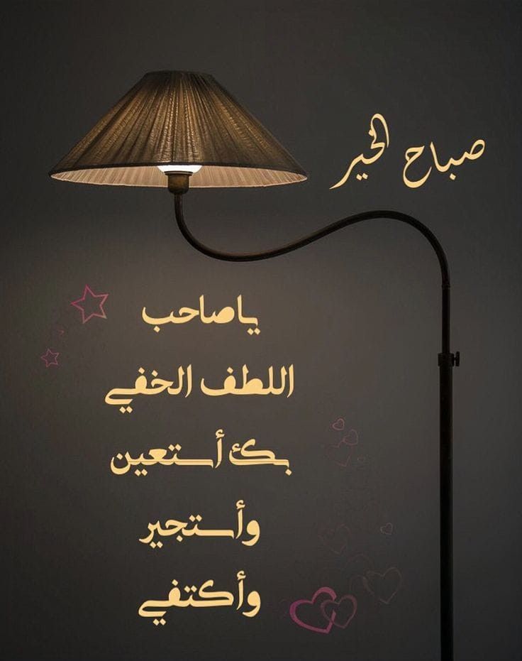 laylahemdan's tweet photo. صباح الطمأنينة… حين نثق أن تدبير الله أجمل من أحلامنا 💫
#شكرا_ابطال_الدفاع_الجوي 
#الكويت_الآن 
شرق الرياض
عبدالله بن أنيس https://t.co/IdczFFnq5e