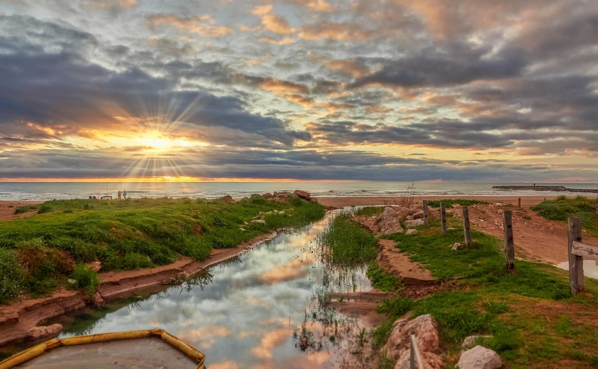 Álex Muñoz 💯 🧡 tweet media