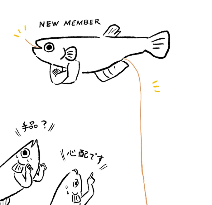 今日家族がお迎えしたメダカくんが、お家に来た時点で糸か髪の毛らしきものを貫通させている状態だったのですけど、ここまできていたら自然に抜けるのを待った方が良さそうですかねぇ

検索したら同じようなケースもあるみたいなんですけど最適解がハッキリしなくて…🤔 