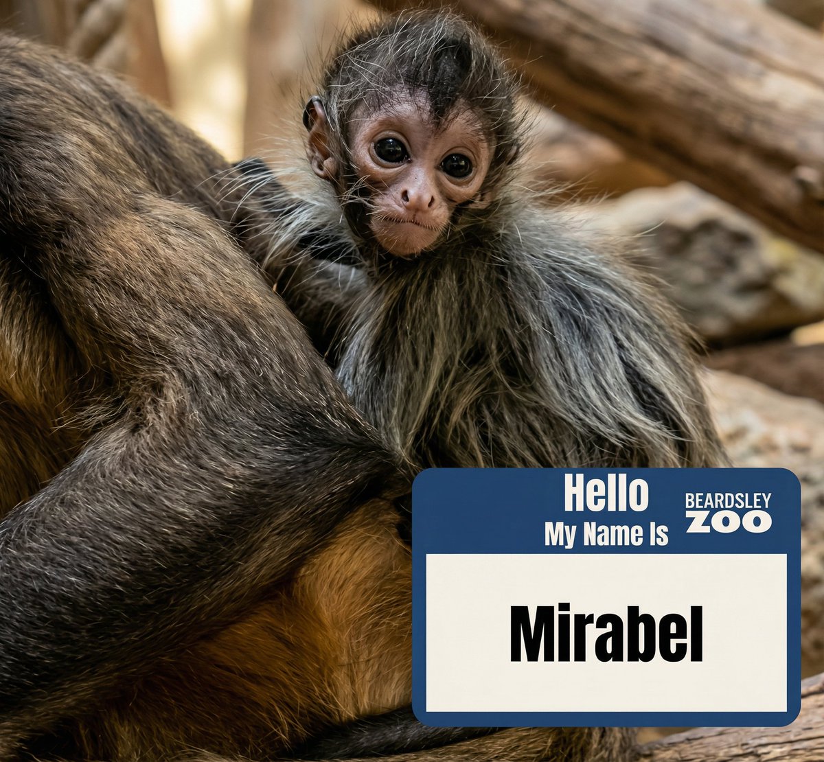 halt 🩸 tweet media