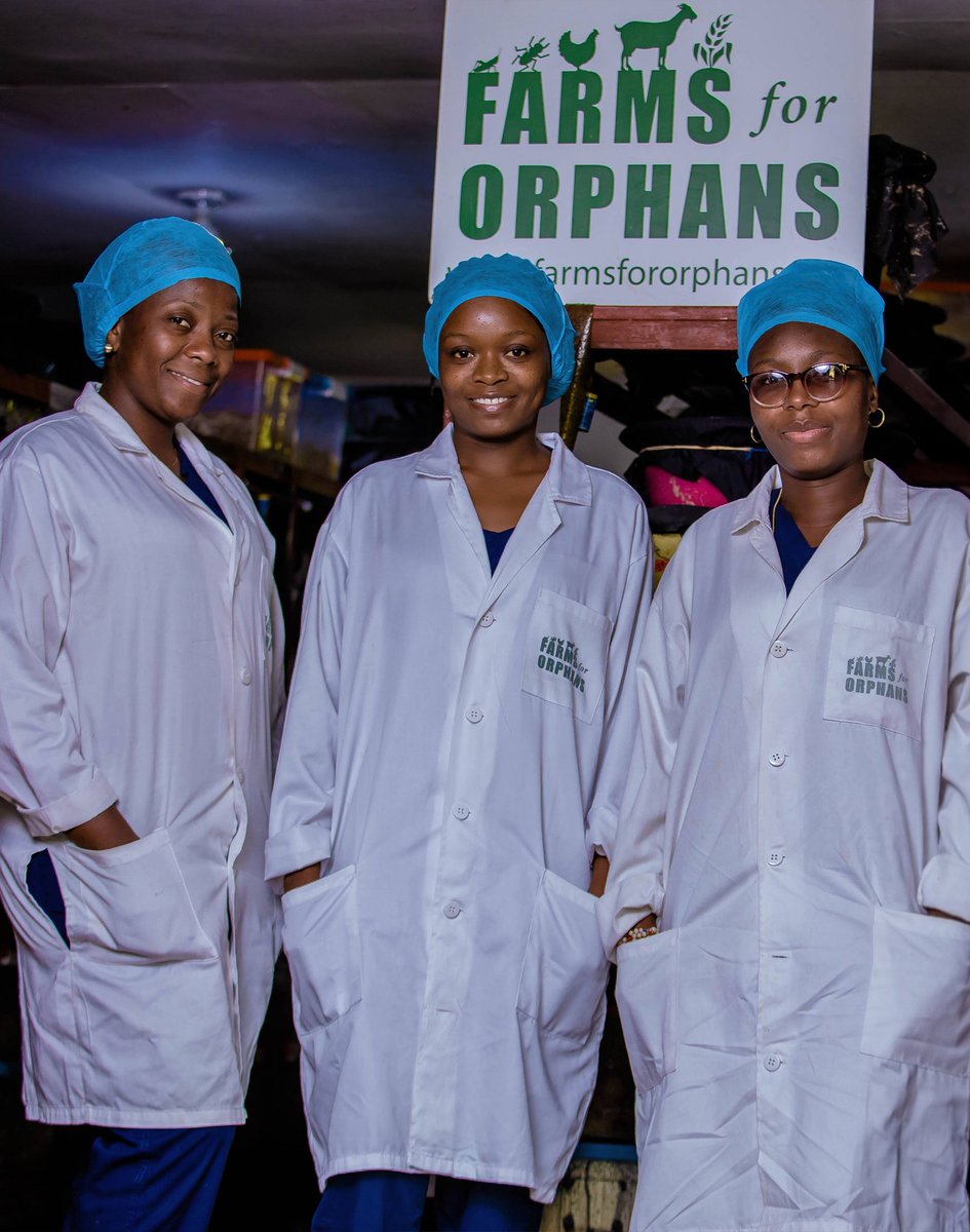 Farms for Orphans (Mpose ya Congo) tweet media