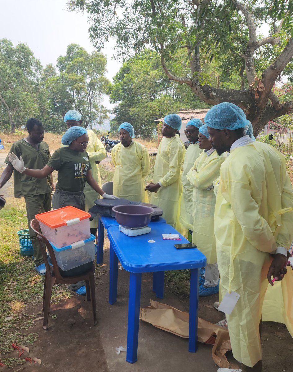 Farms for Orphans (Mpose ya Congo) tweet media