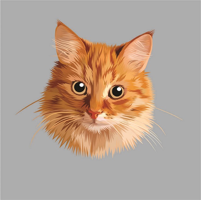 Calvin Alvarez tweet media