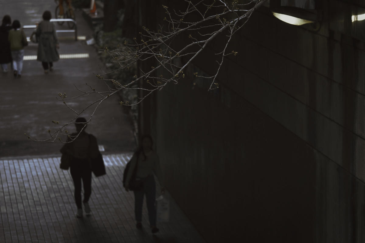 Bailout Hayashi tweet media