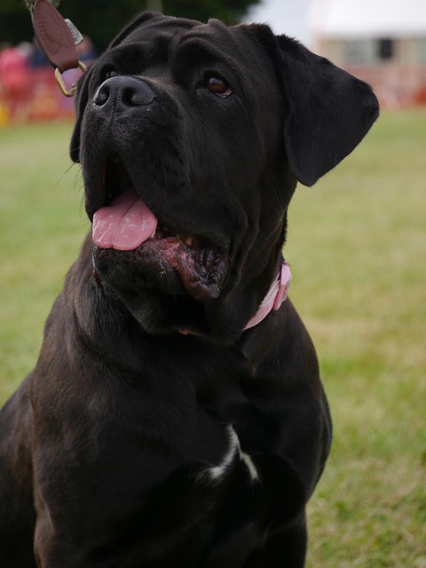 Amy Simpson tweet media