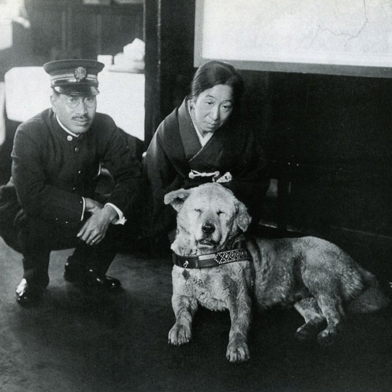 tuCpakoa's tweet photo. Le 8 mars 1935 est mort Hachikō, un chien célèbre au Japon pour avoir attendu pendant près de 10 ans son maître à la gare de Shibuya après la mort de ce dernier. Une statue érigée en son honneur à la gare est aujourd'hui un lieu très connu de rendez-vous à Tokyo. https://t.co/6TFfwRFzhi