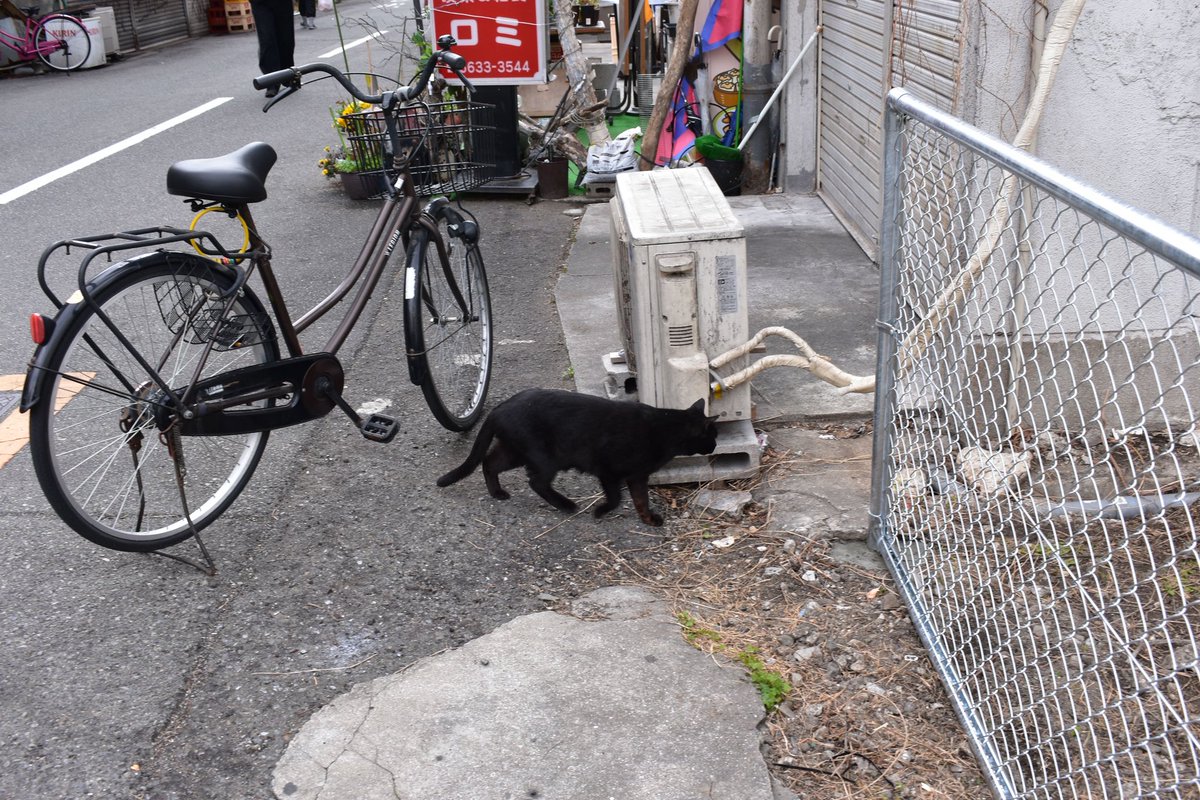 ジェシー tweet media