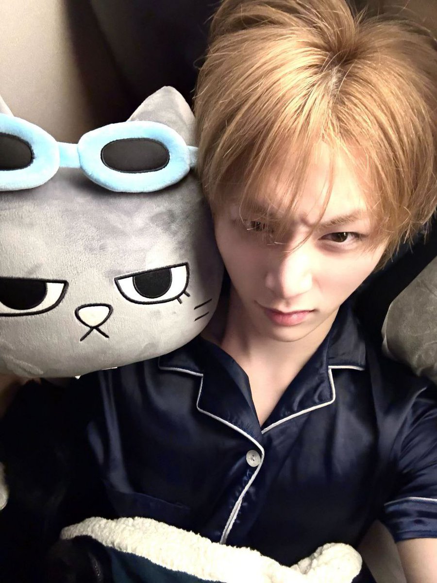 Say hello to my meowfriend!