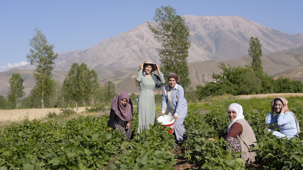 FAO Türkiye tweet media