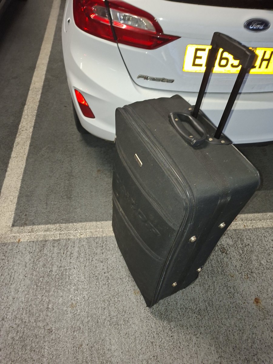 daniel stevens tweet media