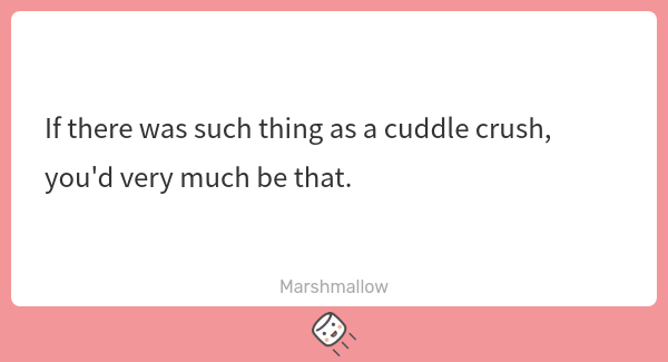 Melon Pan 🍞 tweet media