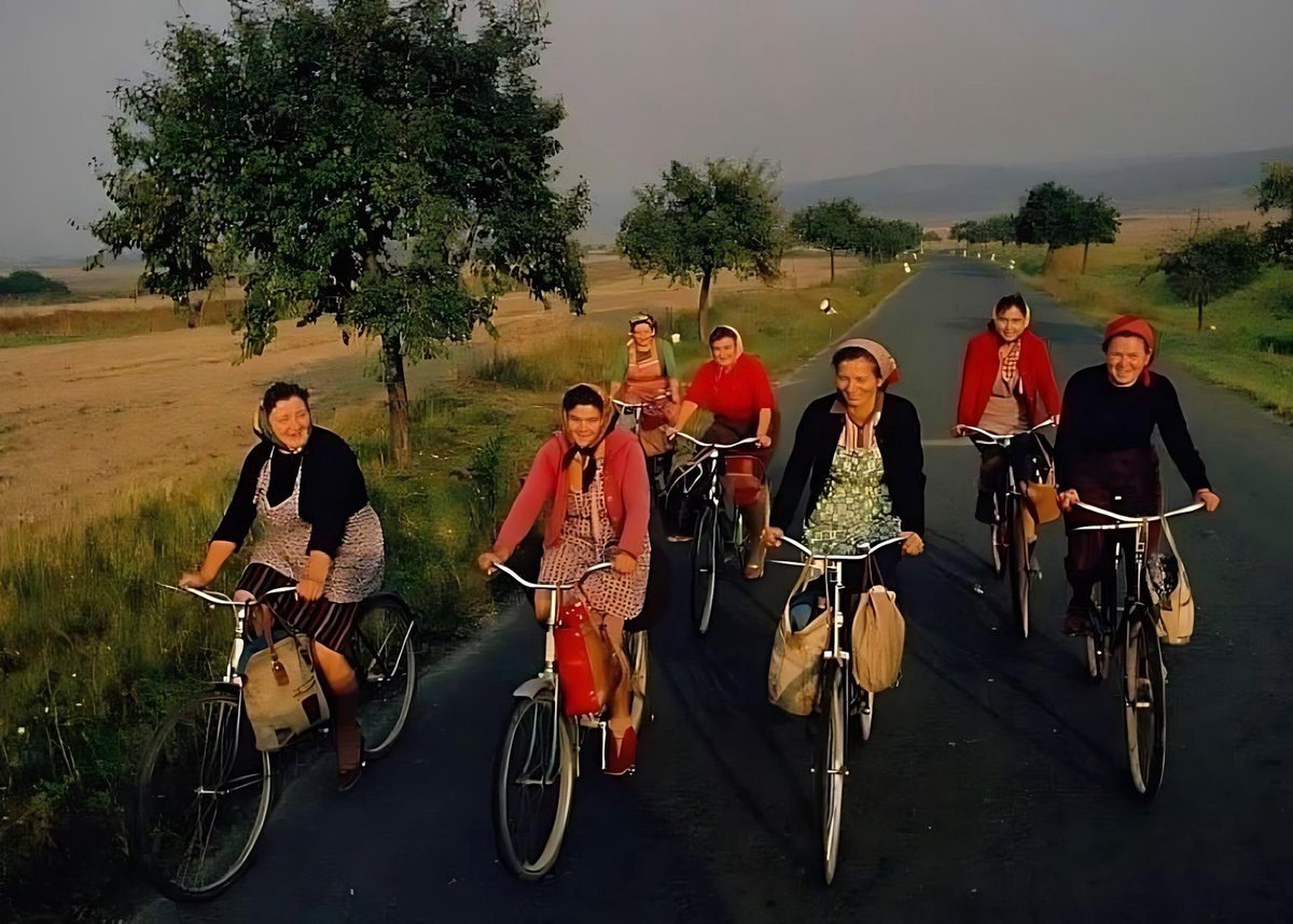 • Dünya’ya bir kadının eli değse Zeyna! Şöyle ağır bir halı gibi çırpılsa, tozlar havalansa.. Dünya Kadınlar Günü kutlu olsun. #8martdünyakadınlargünü