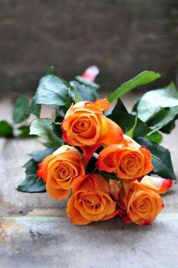 LFBabayeva's tweet photo. Əziz xanımlar!
Sizi,bütün Azərbaycan qadınlarını 8 mart – Beynəlxalq Qadınlar günü münasibətilə səmimi qəlbdən təbrik edirəm,hər birinizə cansağlığı,ailə səadəti və işlərinizdə müvəffəqiyyətlər arzulayıram!!
 #8mart
#QadınlarGünü https://t.co/cD4lk9sirf