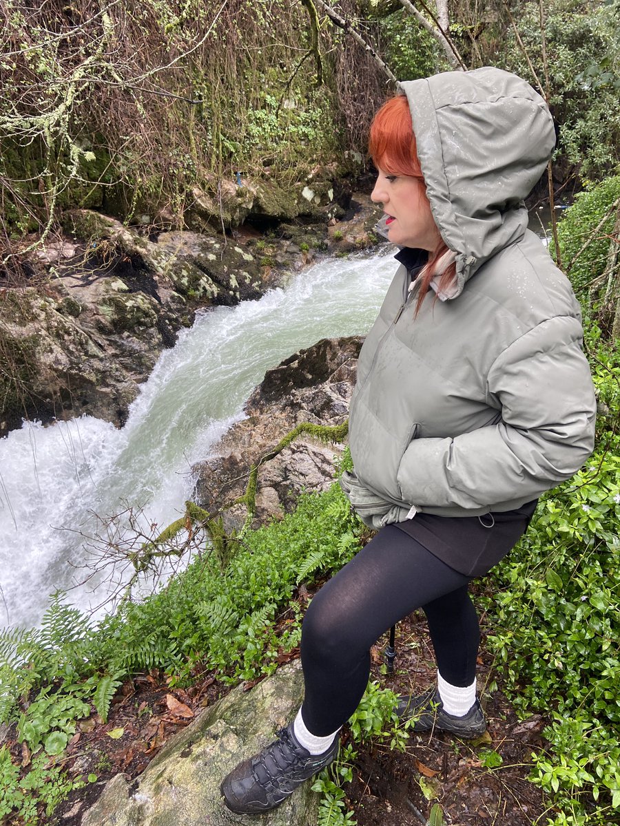 Yendo por la vida tweet media