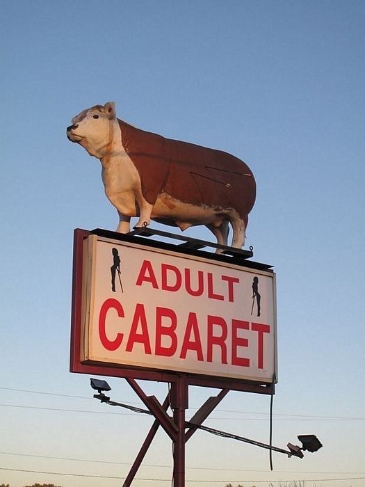 horse dentist tweet media