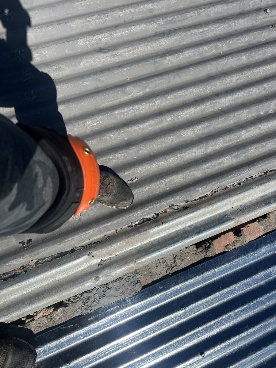 Quantum Mechanic 👁 tweet media