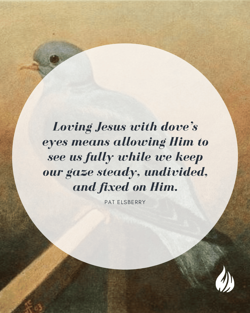 WisdomHunters's tweet photo. Seeing With Dove’s Eyes
By Pat Elsberry
Continue reading: https://t.co/P2UbZF5I2G or on the Wisdom Hunters app.
#WisdomHunters #doveseyes #Jesus #undividedheart #focusonHim #firstlove #Matthew622 #devotion #SongofSolomon #pureheart https://t.co/utPUNmXBsM
