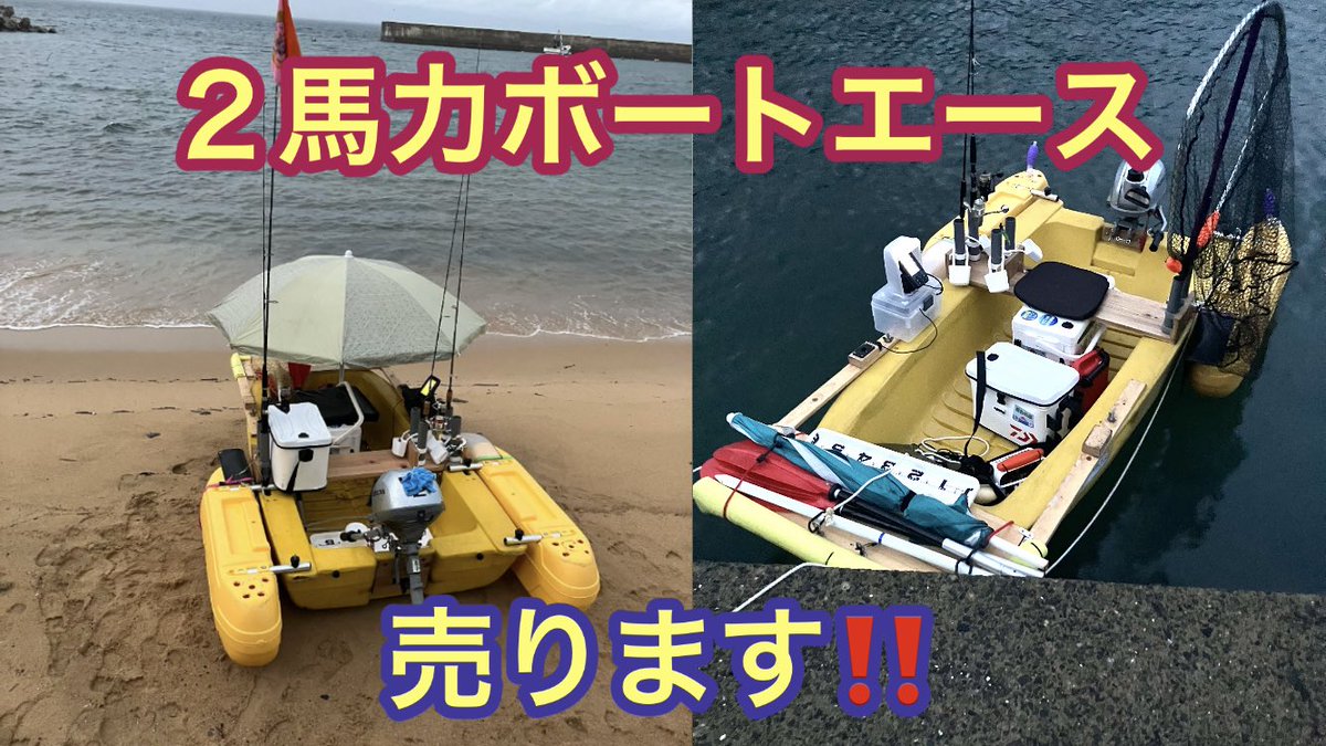 釣りあきチャンネル tweet media