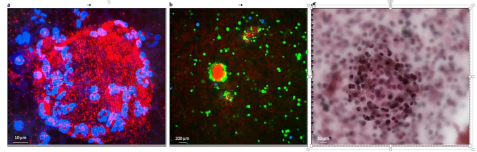 Harry Spoelstra tweet media