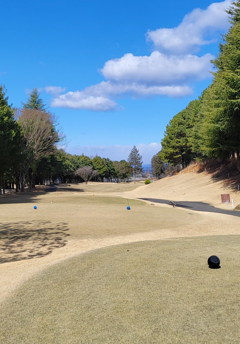 虹🌈@ゴルフ tweet media