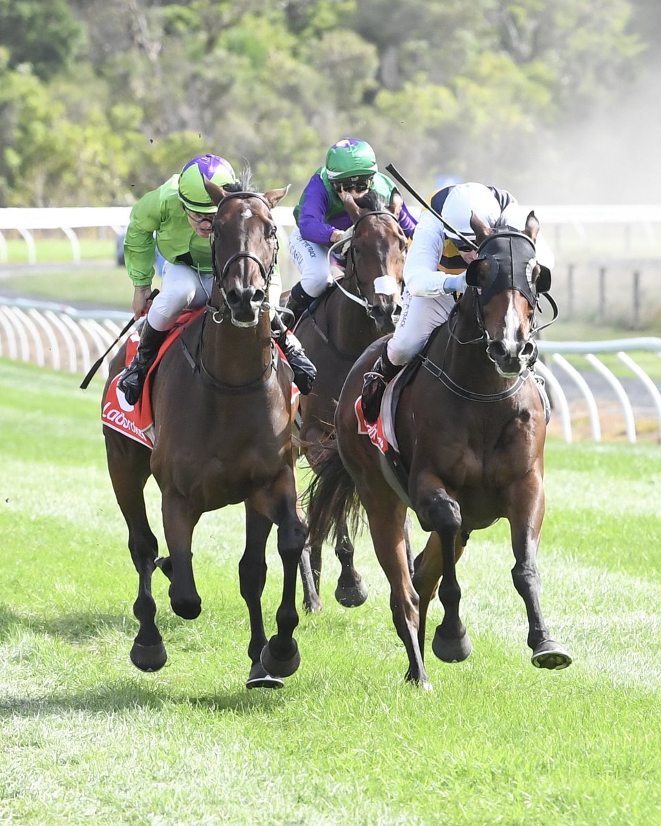 Country Racing tweet media