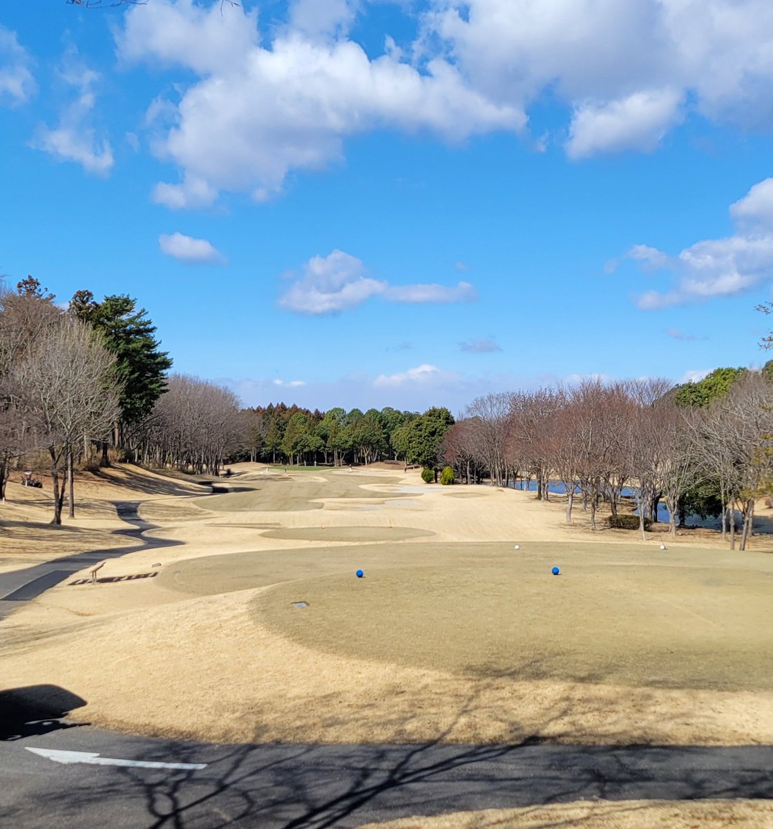 虹🌈@ゴルフ tweet media