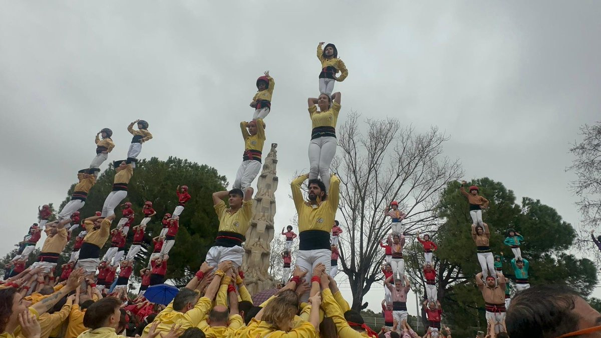 Els Grocs 💛 tweet media