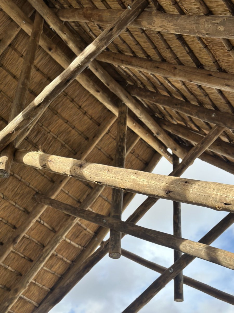 Iilonga Architects tweet media