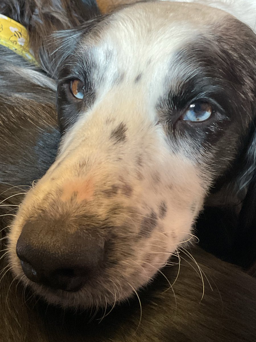 Fiona Shoop tweet media