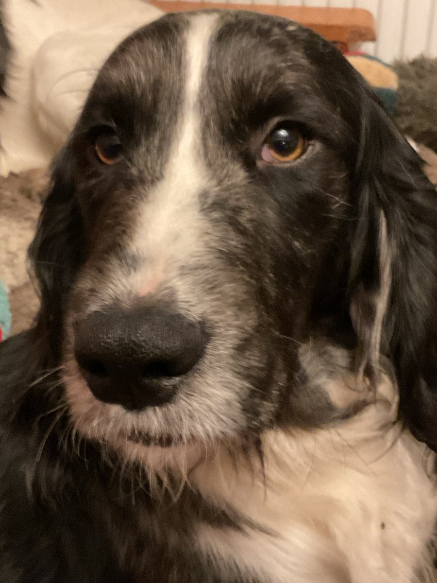 Fiona Shoop tweet media