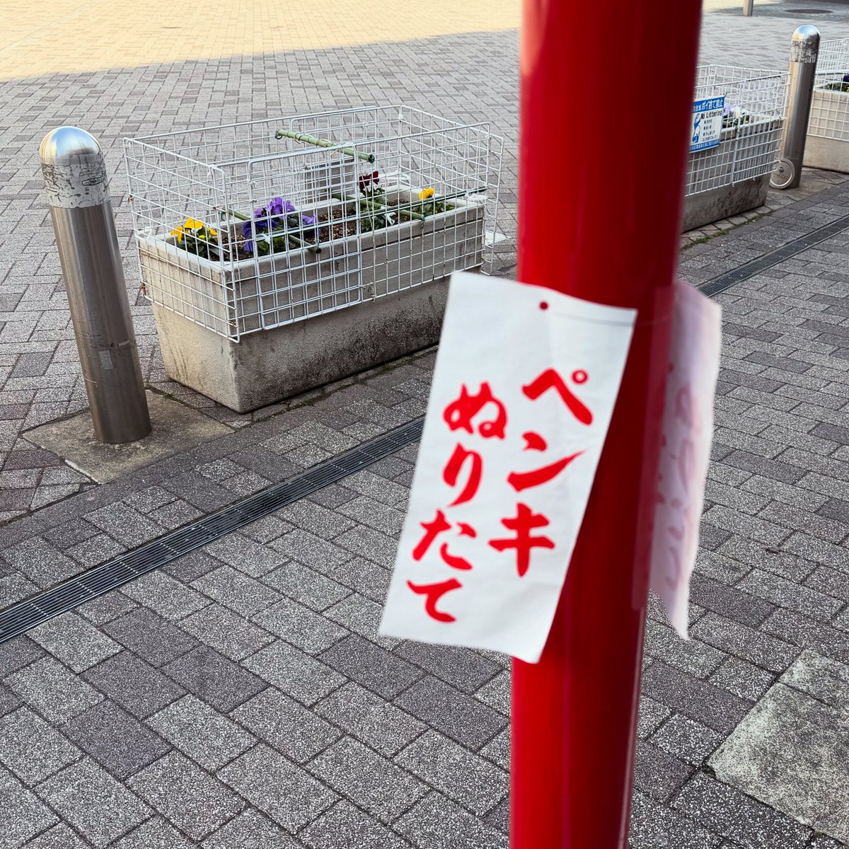 various_tone's tweet image. コントでしか見たことないよね
#ペンキぬりたて 
おみくじ結んでもいいかもよ

#ペンキ