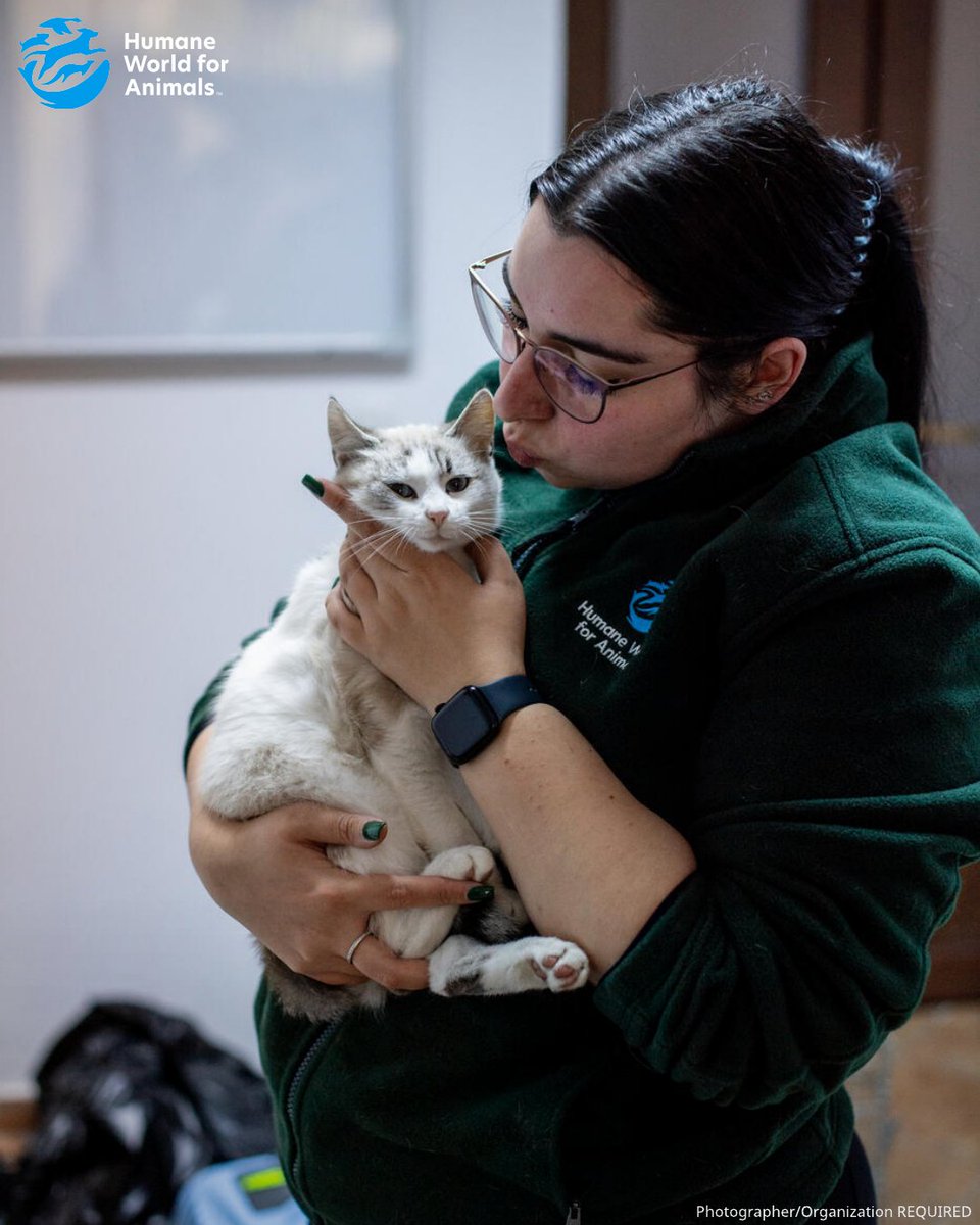 Humane World for Animals Europe tweet media